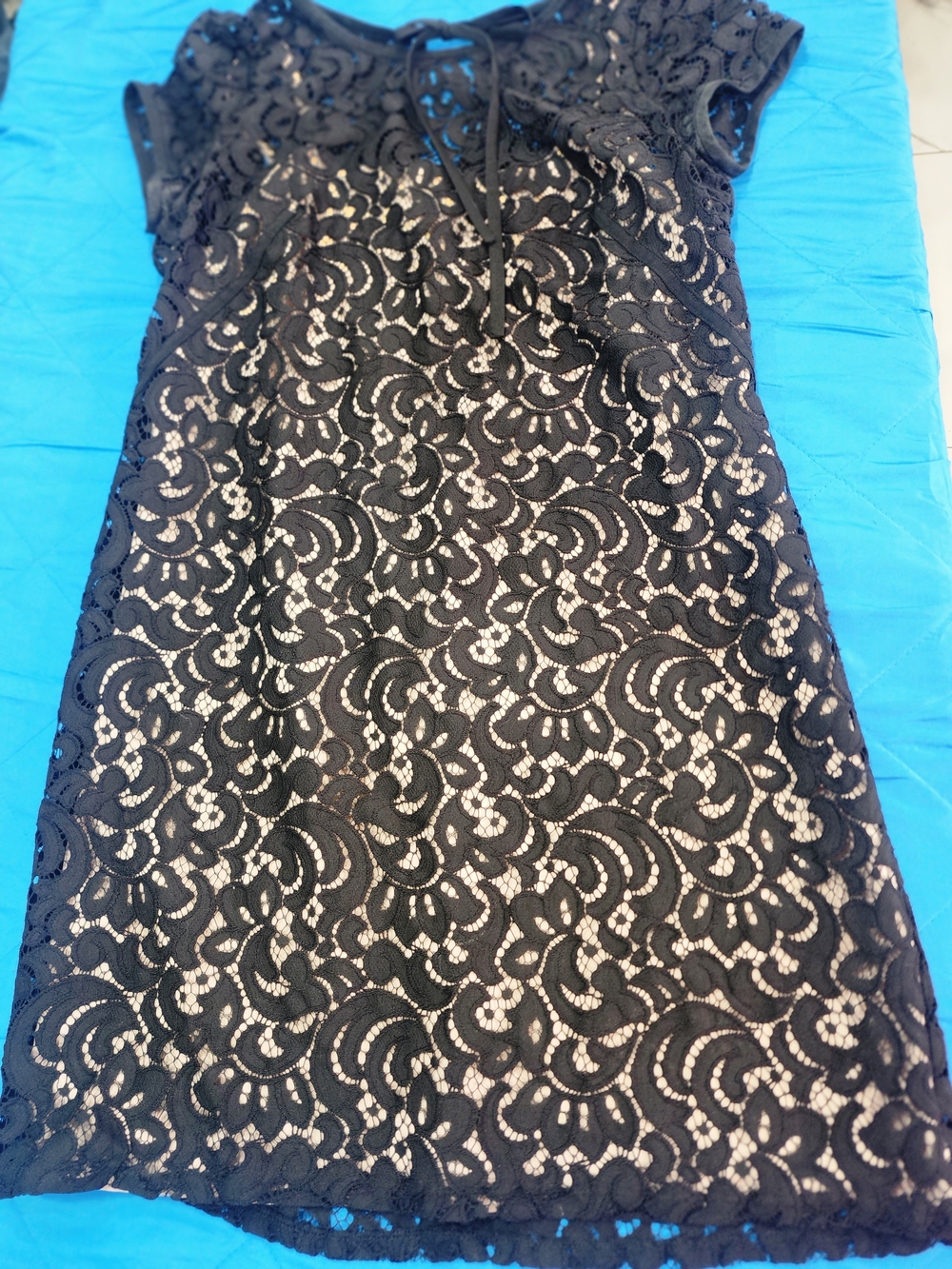 LOFT Black Lace Mini Dress with Nude Underlay